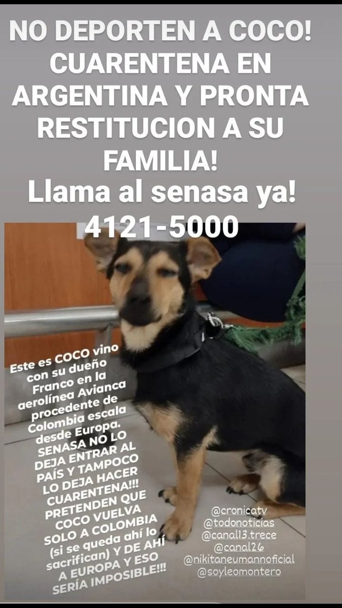 ComunicadoOpina's tweet image. #LiberenACoco #LIBERENACOCOYA