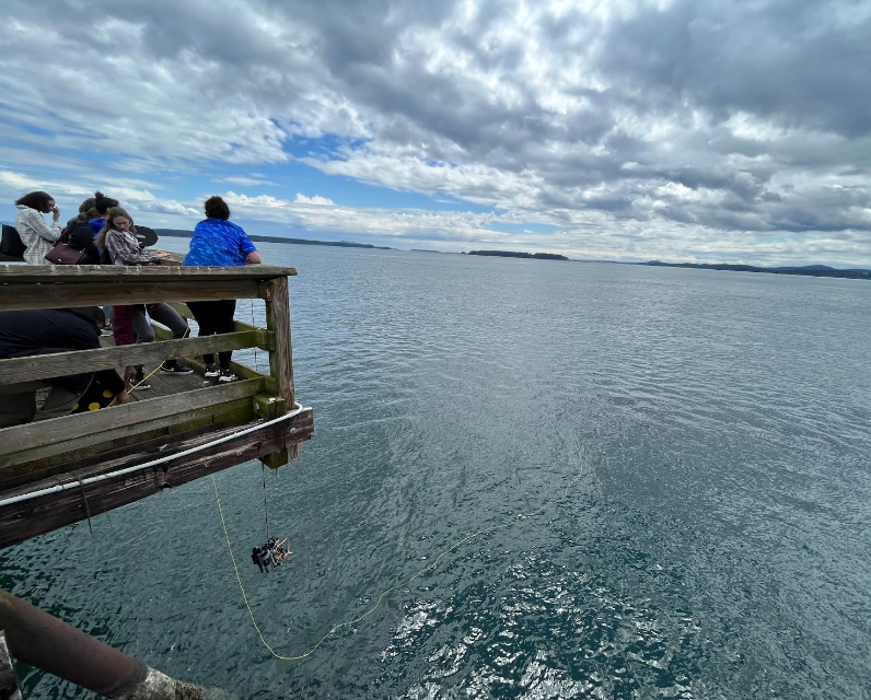 Observatoire global du Saint-Laurent tweet media