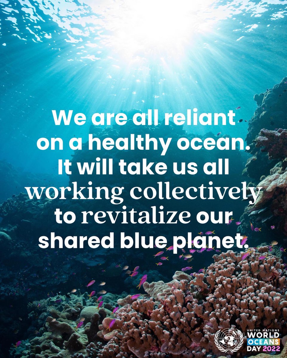 MySuraksha's tweet image. Join us on 8 June to learn how to revitalize our oceans.

#RevitalizeTheOcean #UNWorldOceansDay
#undoalos #OceanicGlobal #blancpain1745 #LaMer