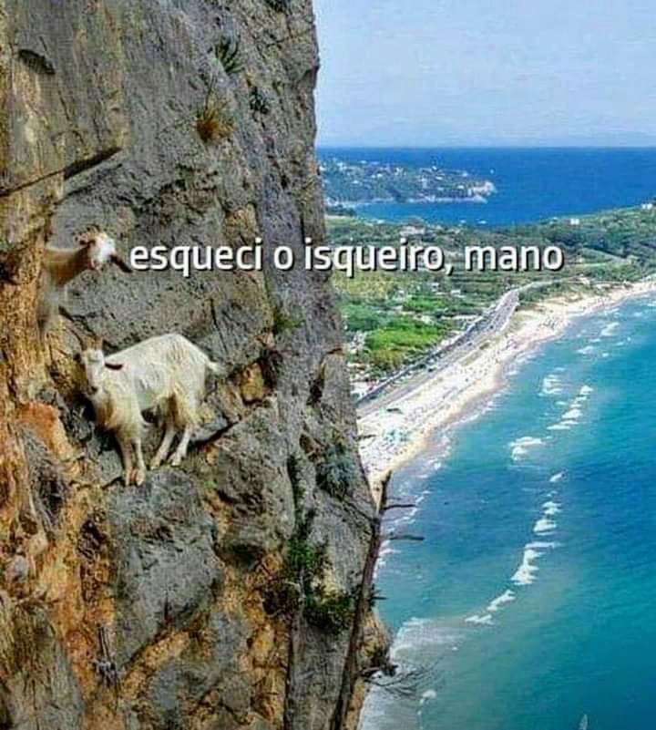 Anjo Negro (@anjonegro2616) on Twitter photo 