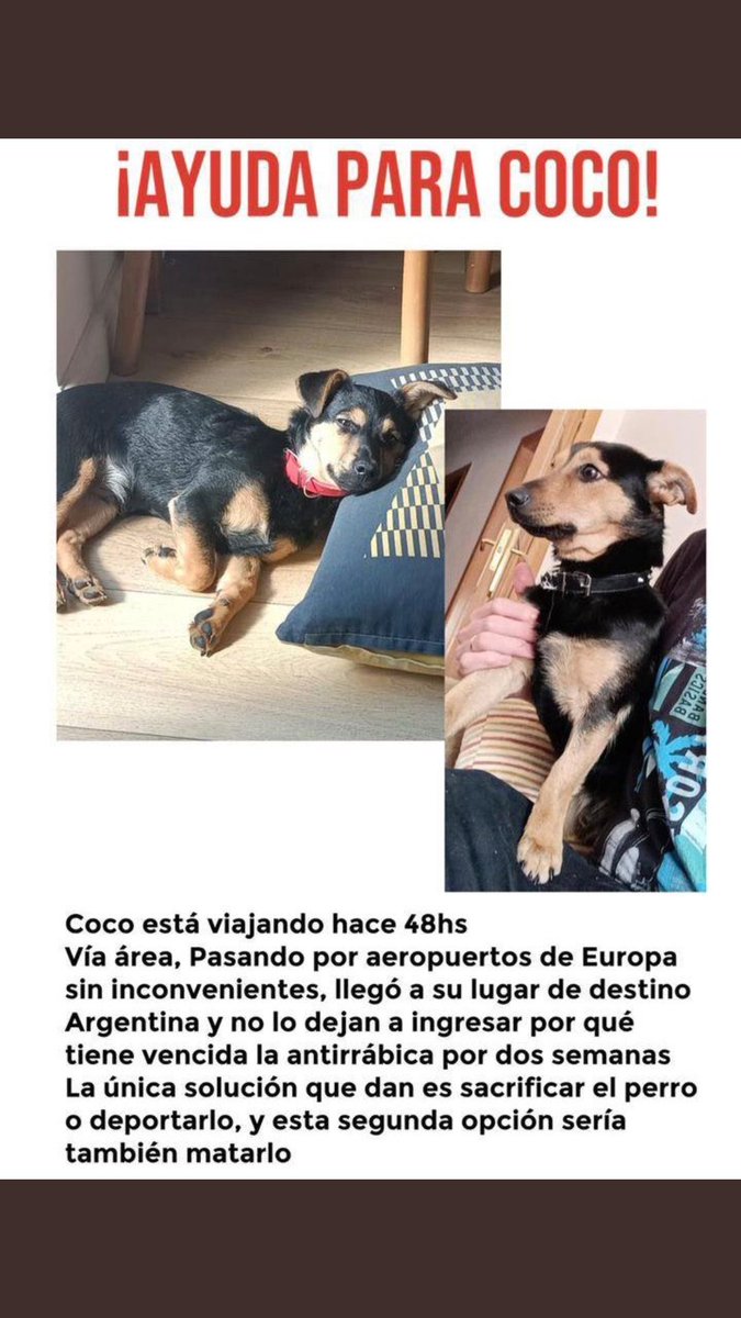 Ivisinger1's tweet image. #LIBERENACOCOYA