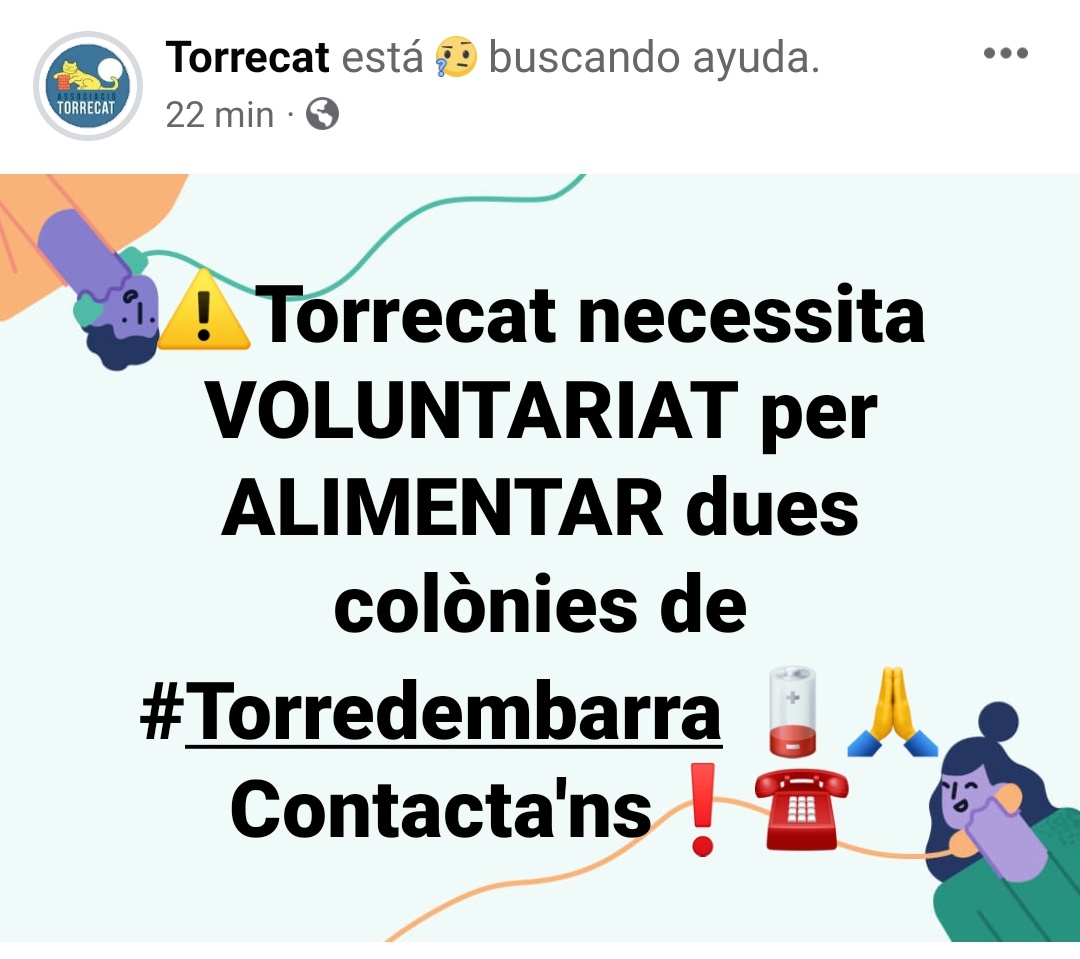 torrecatsocial's tweet photo. ⚠️ Necessitem cobrir l'alimentació de dues colònies a #Torredembarra. Si t'interessa, contacta'ns per xarxes i t'expliquem 🙏☎️
#gatsdecarrer #esterilitza #CER https://t.co/HouFEGdYx0
