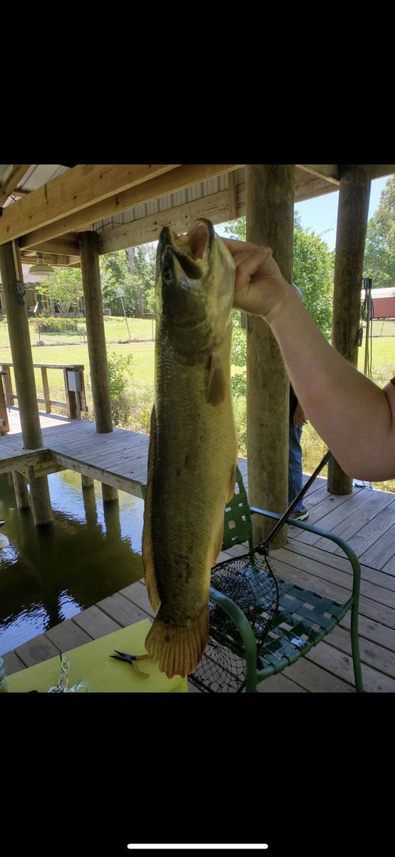 BryanSamudio's tweet image. Ahhh Texas.  You never disappoint. @toledobend is my happy place.