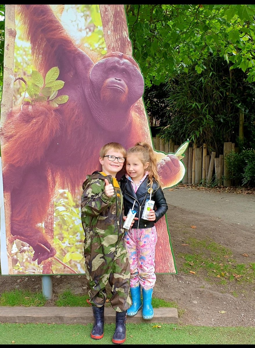 MossGillian's tweet photo. @chesterzoo https://t.co/tzIbWD3uA2
