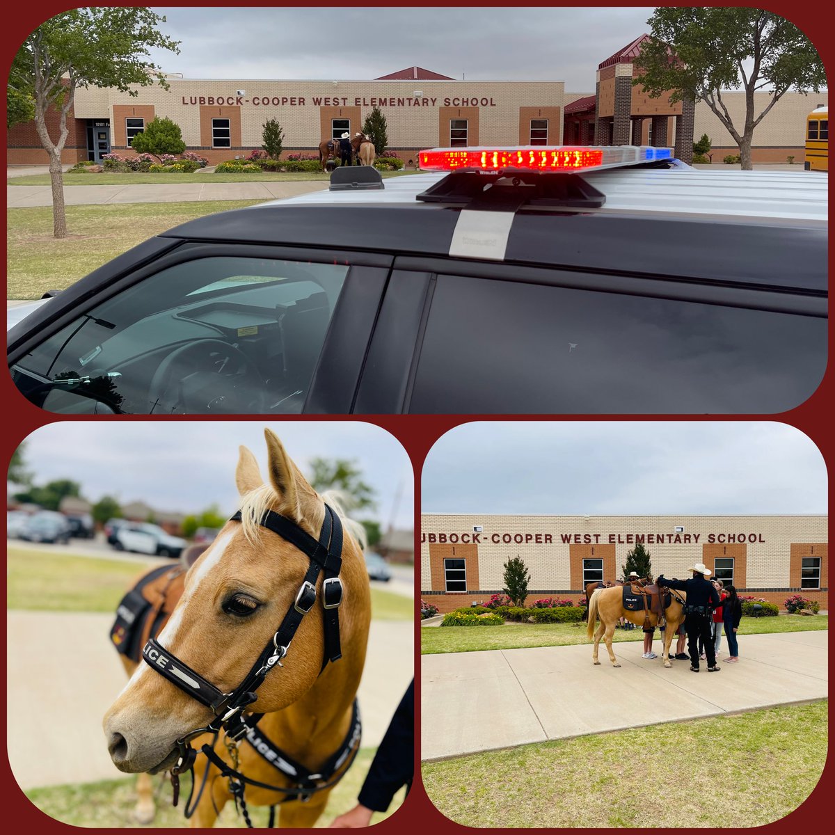 BergenLPD's tweet photo. Throw back Thursday! Monday we had a great time at Career Day with the kiddos @lubbockcooper West Elementary! #CommunityEngagement #lubbockpd #schoolsoutforsummer https://t.co/bq4z1wLdlf