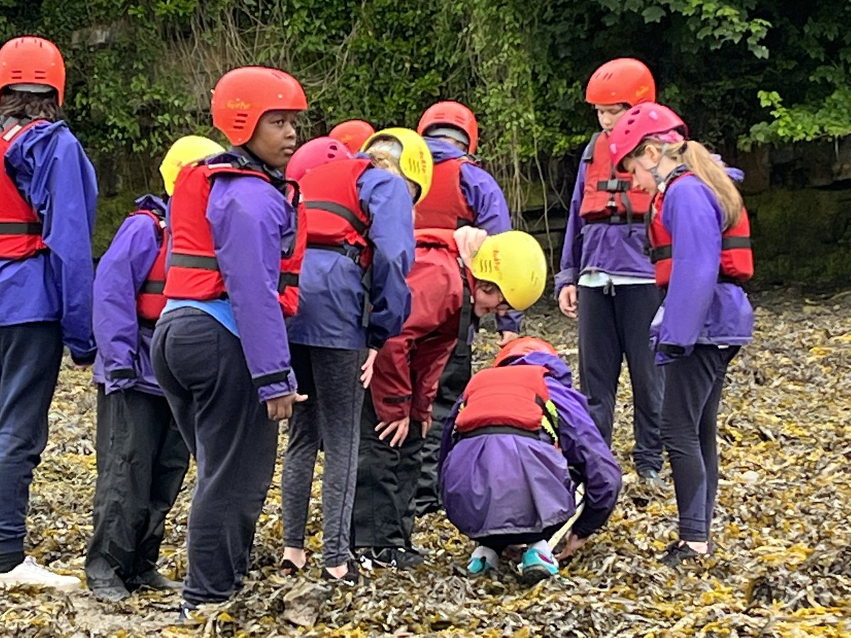 StPhilipsY6B22's tweet photo. We went exploring the Menai Straits in our canoes. It was much harder than it looked! In amongst the seaweed we found some crabs and shells. We were watched by two herons and a noisy oyster catcher! #teamstphilips #stphilipsy6residential https://t.co/BrjltLa4k0