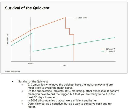 Bitcoin's tweet image. How a company can survive by being the quickest to make course corrections.

Have you done the cut exercise?