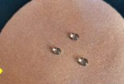 dixie14098011's tweet photo. #lignin is the most abundant polyphenolic polymer in nature. Uasge 1: hydrophobic coating on a hydrophilic filter paper @TNpolicynurse https://t.co/IARzMuPcnq