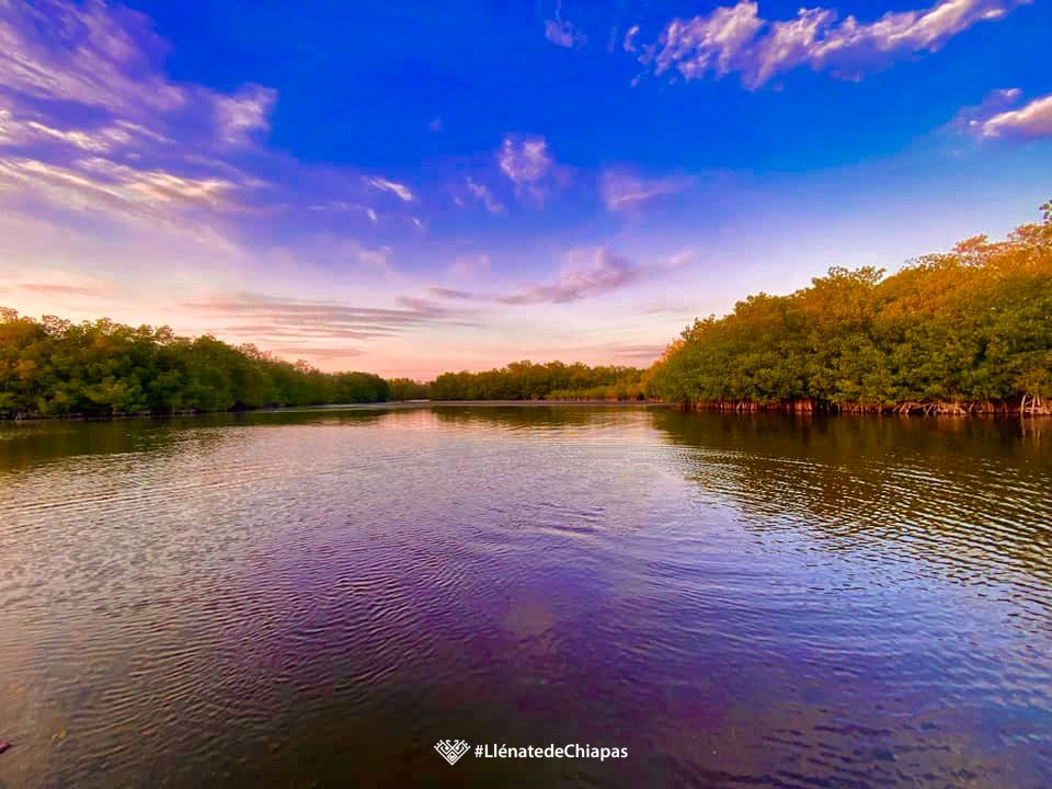 llenatdechiapas's tweet photo. Dicen que la costa de Chiapas esconde lugares maravillos, para muestra un botón.
1.-Mapastepec
2.-Cascada el Chorro en Acapetahua
3.-Cañón las Golondrinas en Mapastepec
4.-El Ballenato Acapetahua https://t.co/d5Gxs1uf8H