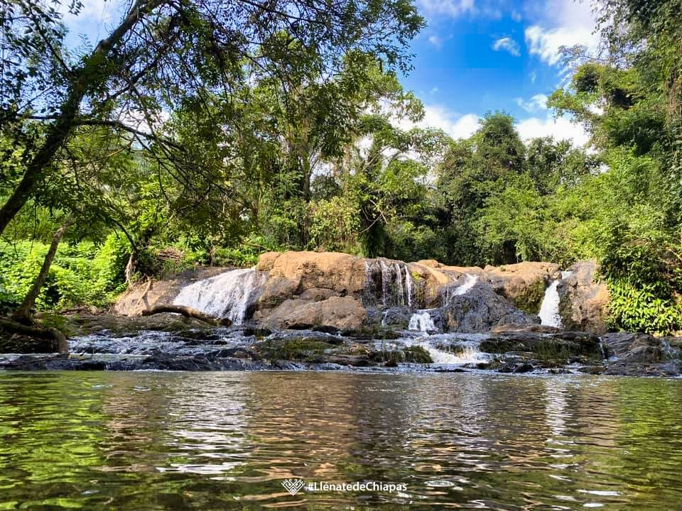 llenatdechiapas's tweet photo. Dicen que la costa de Chiapas esconde lugares maravillos, para muestra un botón.
1.-Mapastepec
2.-Cascada el Chorro en Acapetahua
3.-Cañón las Golondrinas en Mapastepec
4.-El Ballenato Acapetahua https://t.co/d5Gxs1uf8H