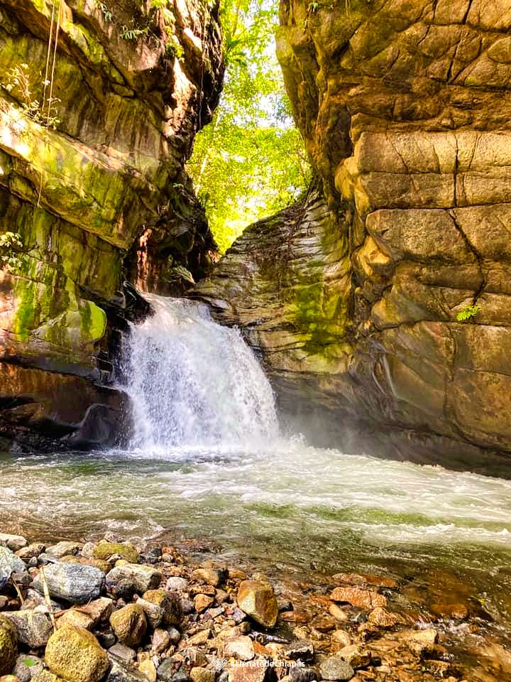 llenatdechiapas's tweet photo. Dicen que la costa de Chiapas esconde lugares maravillos, para muestra un botón.
1.-Mapastepec
2.-Cascada el Chorro en Acapetahua
3.-Cañón las Golondrinas en Mapastepec
4.-El Ballenato Acapetahua https://t.co/d5Gxs1uf8H