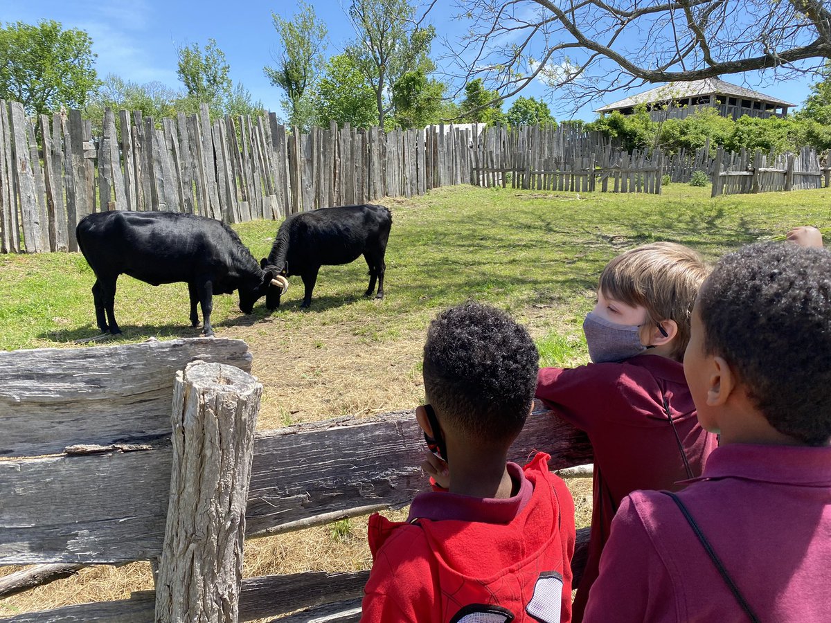 The pilgrims had a LOT of different animals! We even got to pet a goat! @plimothpatuxet @bbcps #fieldtrip