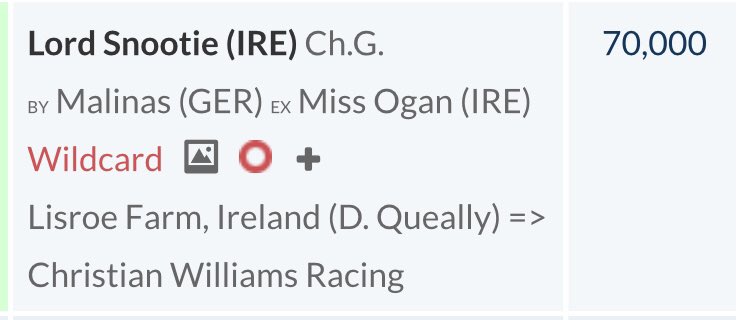 Shane Ryder Racing tweet media