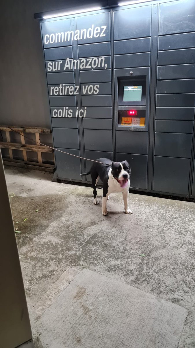 DephaseuR's tweet photo. J’avais un colis Amazon à récupérer mais j’crois ça va tranquillement rentrer chez soi hein https://t.co/PNTb7Bwvj3
