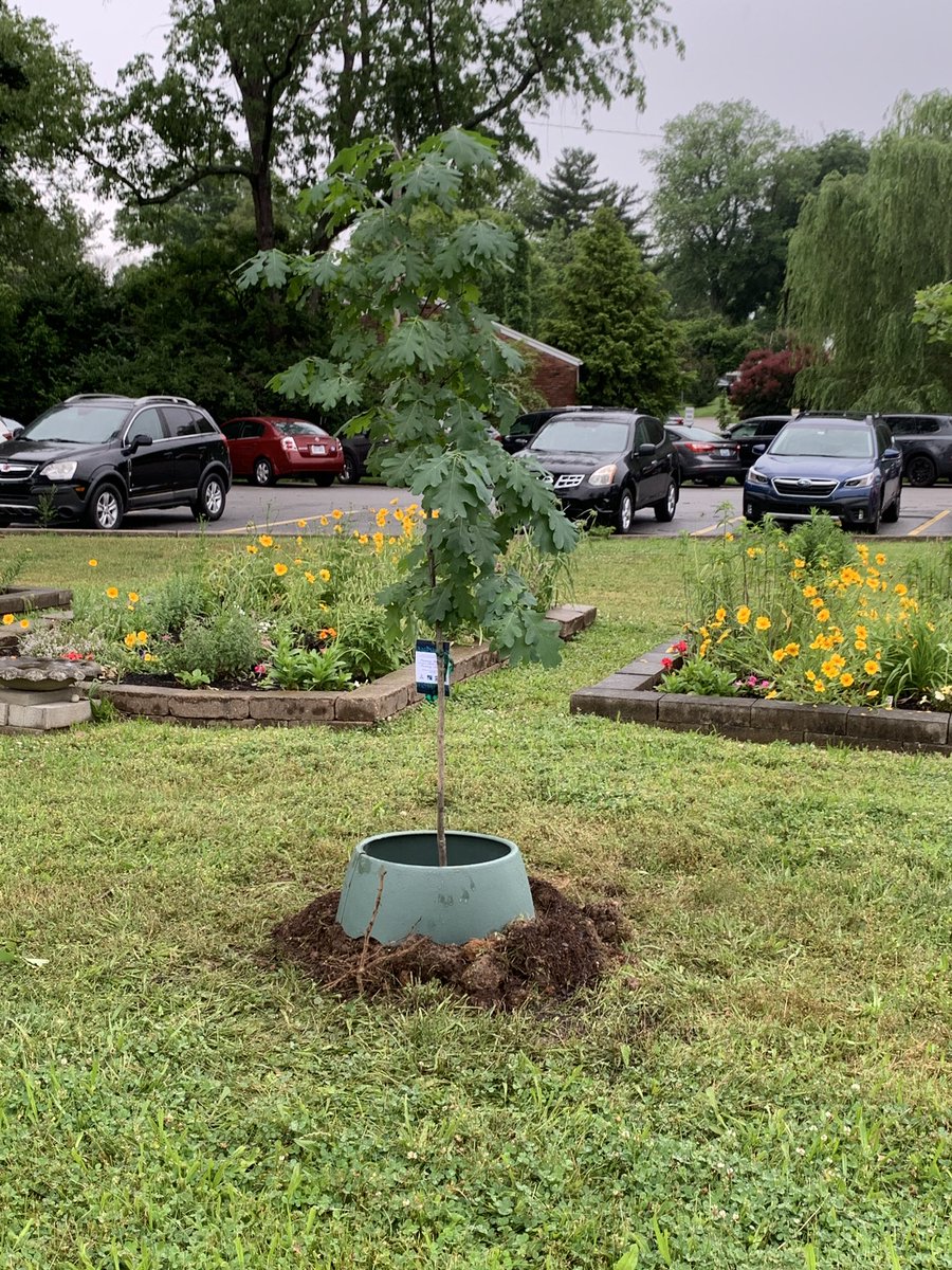 Growing legacies <a href="/hawthornehawks/">Hawthorne Elementary</a> thanks to <a href="/JCPS_LMS/">JCPS Library Media Services Department</a>  and <a href="/JCPSLMSDrLynn/">JCPSLMSDr.Lynn</a>!