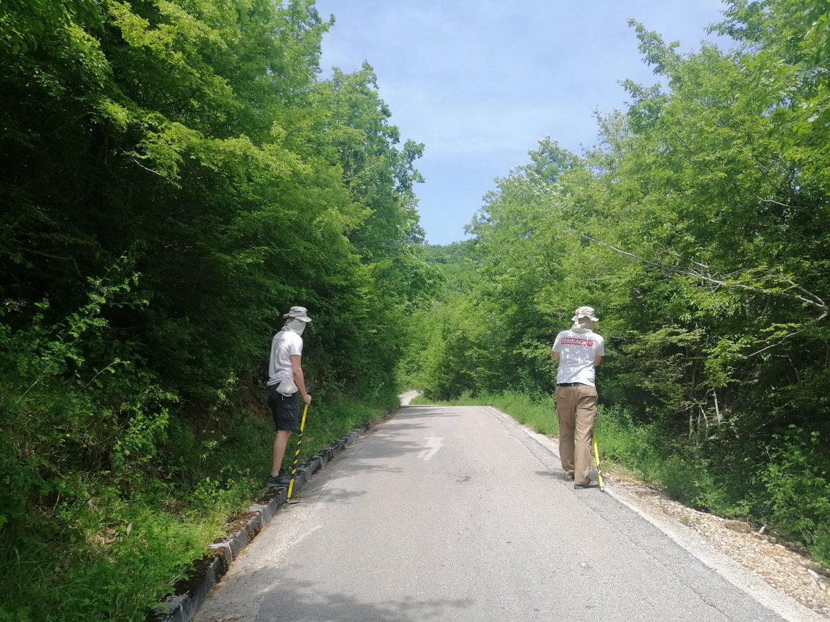 LizabelDM's tweet photo. Rule #3 of the #LizardLegion: always activate joint forces when a member is in need. These two brilliant PhD students took some days to help out with tough lizard catchings and field surveys! And they even cooked every lunch... π¦βοΈ Hvala! https://t.co/uvSEaSwmsc