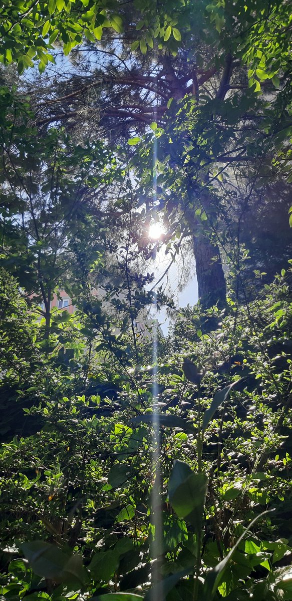 Hayatımızı ışıltılı parlak olarak anlatırsak,
Çektiklerimizi çekip olduğu gibi bahsedip bunları hep birlikte izlersek,
 O yaşanılanları kaldırarak birleştirmiş olursak,
 O izli yer yer kült ayrık kasveti yok etmiş oluruz...