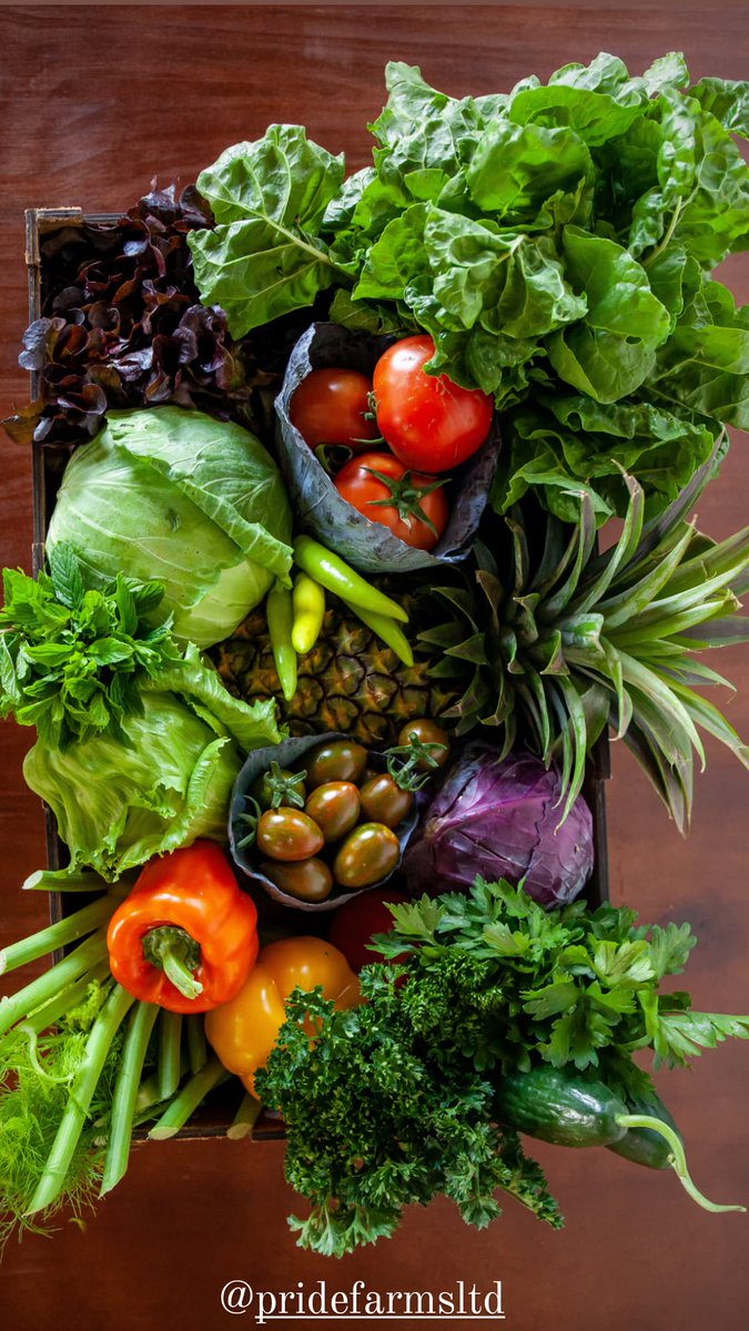 <a href="/PrideFarms_Ltd/">Pride Farms Ltd.</a> Organic farming in Rwanda. Taste it!
pridefarms.rw
#organicRwanda #zerochemicals #kigalifoodies