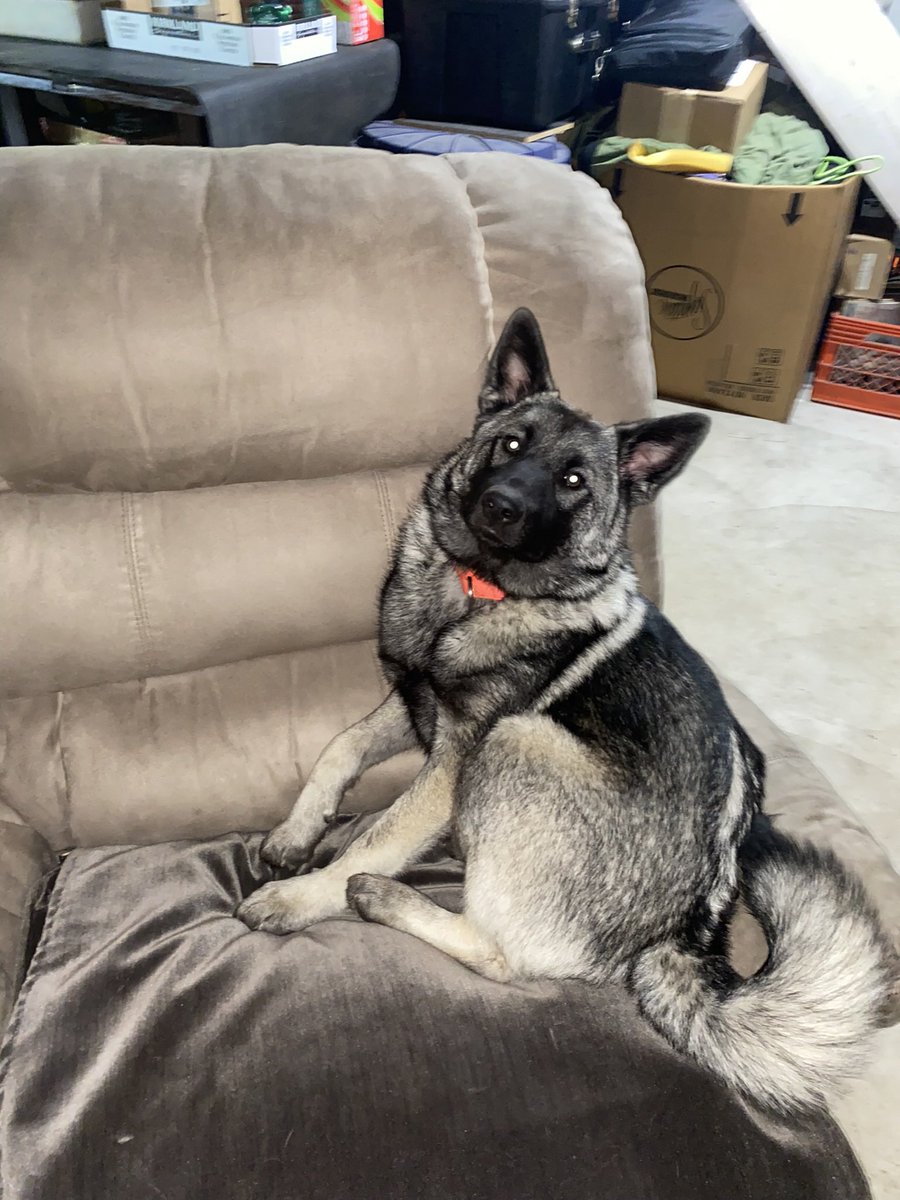 Meghan Coccia (@meghankathleen_) on Twitter photo 