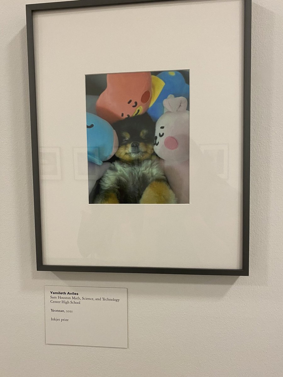 jmntaehoney's tweet photo. IM AT THE HOUSTON MUSEUM OF FINE ARTS AND LOOK WHAT I SEE!!! @BTS_twt https://t.co/fdA7xaDBo5