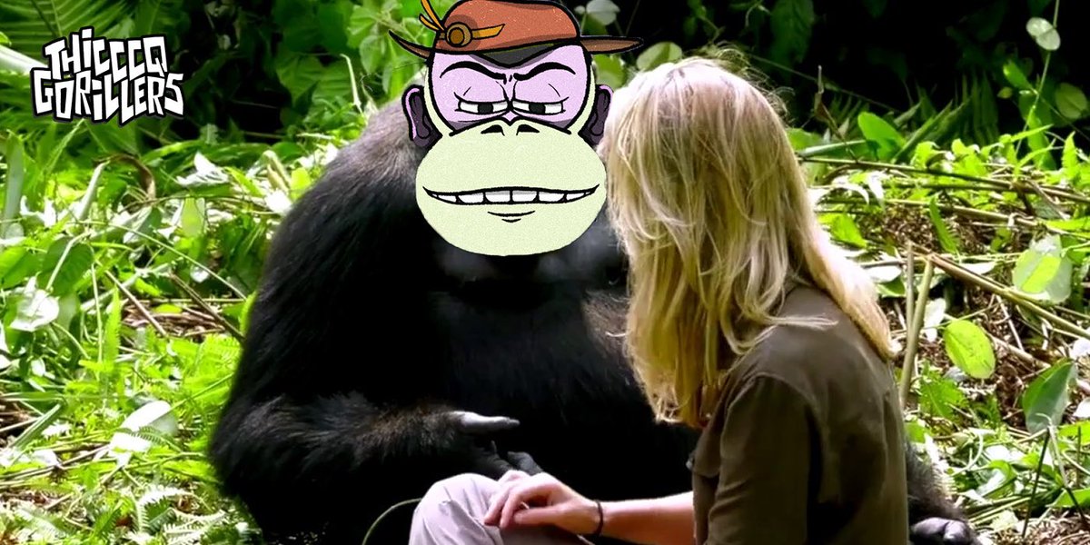 ApesOasis's tweet photo. 💎All can harness the power of THICCCQ Gorillers - public minting is live!

https://t.co/hwUn1gZe1n

🍌Grow your army for gamefi - Ape Warfare https://t.co/JXiuQuueVt