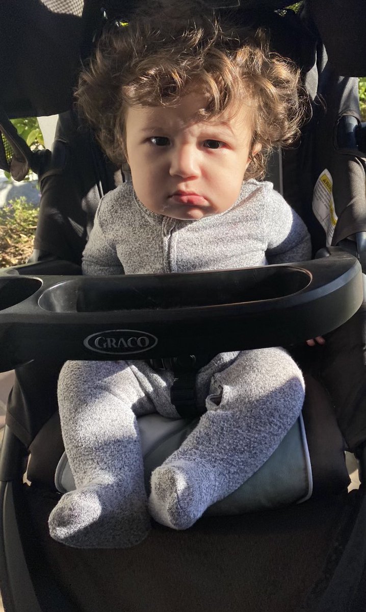 Bobby Zamani tweet media