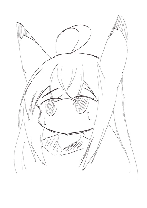 (⌒v⌒)おはようございます 
