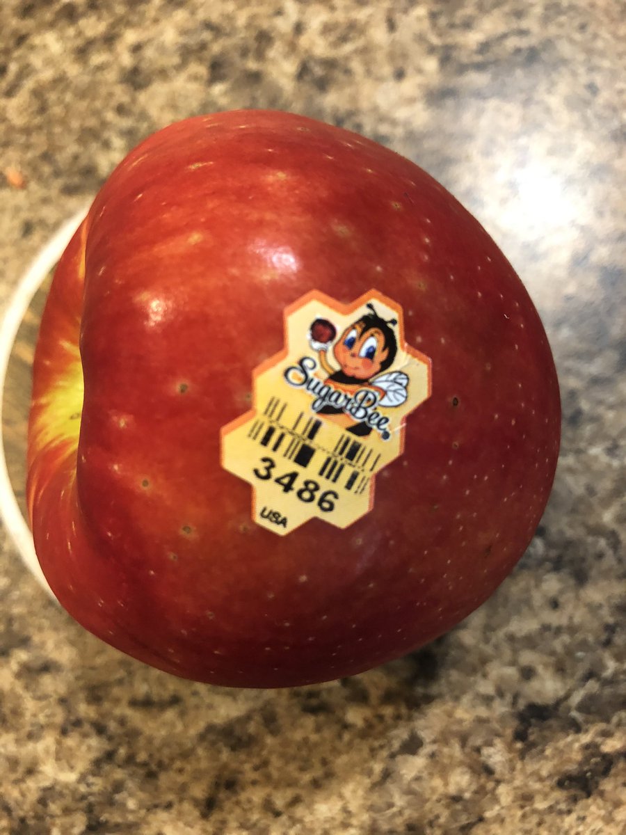 JackpotNick's tweet photo. My first #SugarBee apple. The checkout gal at #Krogers told me they gave all the employees one to sample and she liked it. It was a bit of a tough skin first bite but inside they are otherworldly👍 https://t.co/PfjZyoV3LF