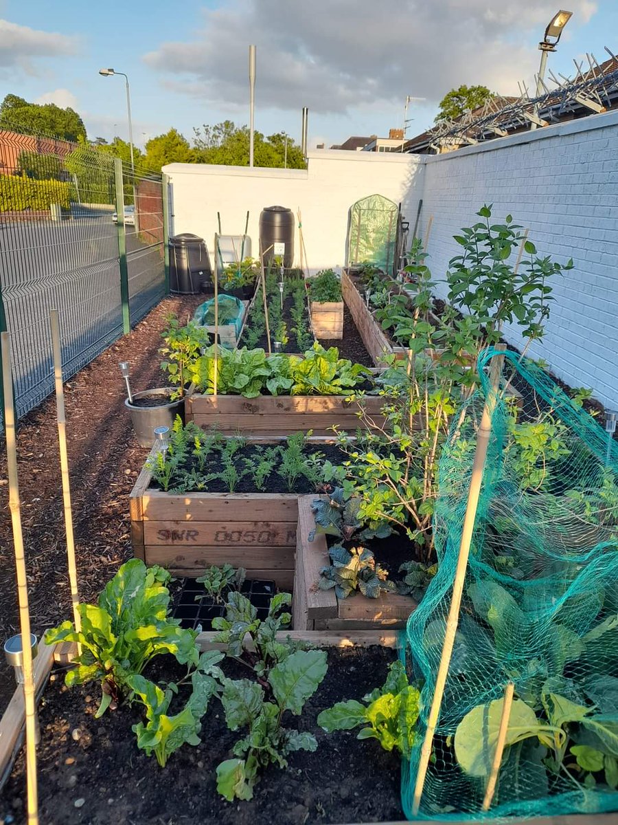 BeechmountBRC's tweet image. What a difference a year makes well done to all our volunteers for their continued support and work and of course thank you to all who have helped and donated too.

Here is link for anyone looking  to donate 👇👇
pay.strikepay.co/tags/Strikegiv…

Go raibh maith agaibh!
Up the beechies. ✊🏻