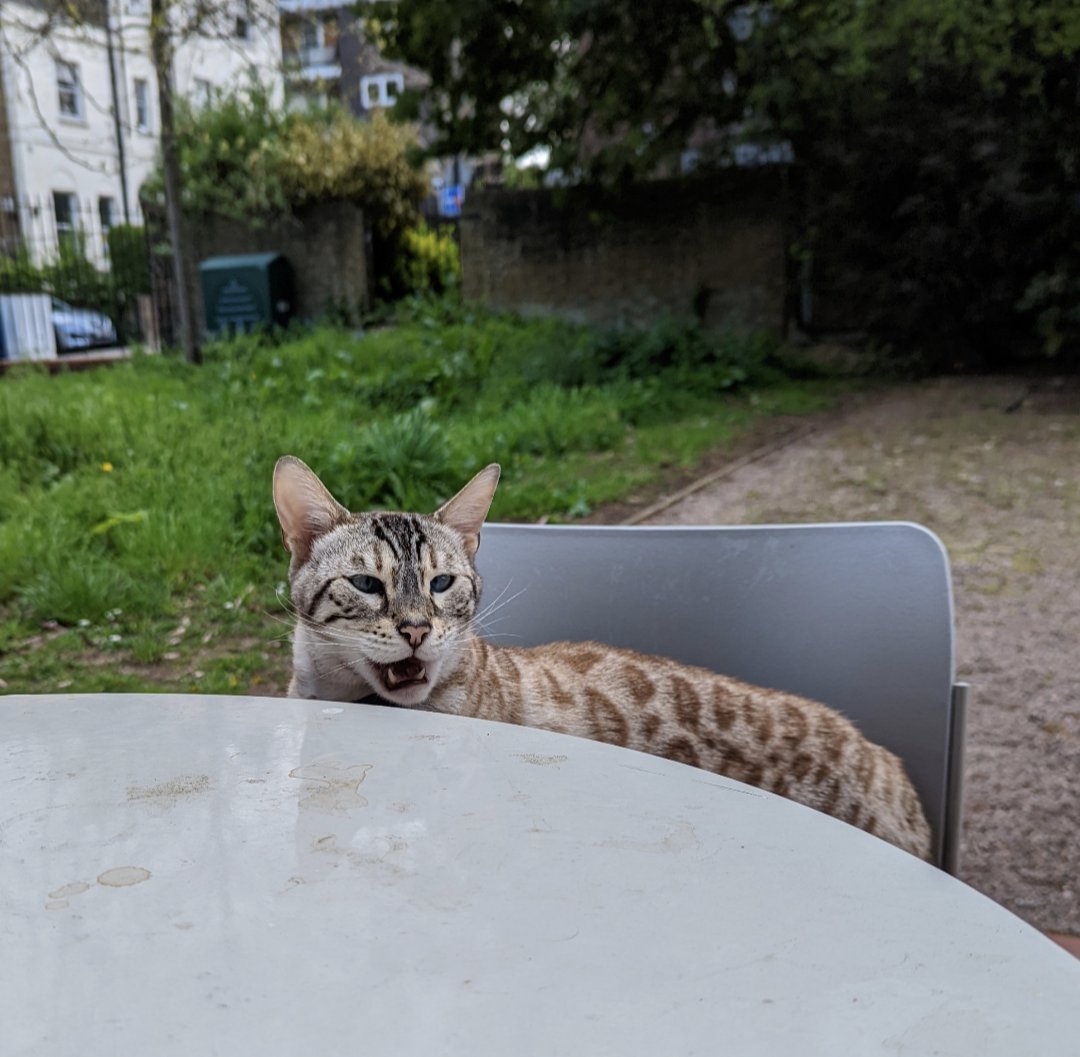 @cathrynlewis @SGDPCentreKCL @KingsIoPPN @PearsMaudsley Very chatty lunch companion too!