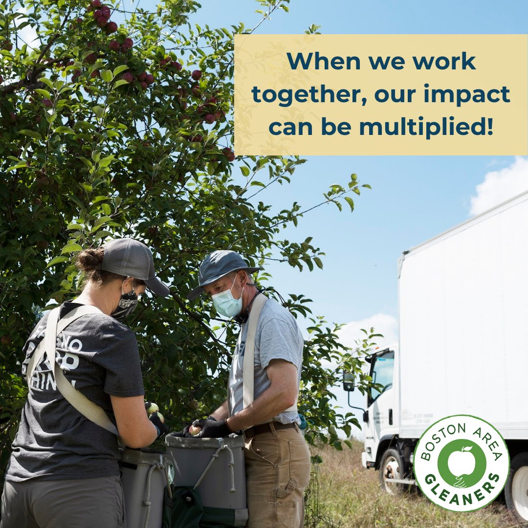 bostonareaglean's tweet photo. This summer, we are working together to update Stonefield Farm! We are upgrading a greenhouse, updating drainage systems to prevent flooding fields, improving our composting equipment, &amp; more! These projects help us work towards a sustainable future for our local food system. https://t.co/fC6Zwmfmio