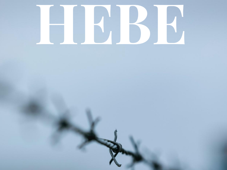 HEBE poetry magazine tweet media