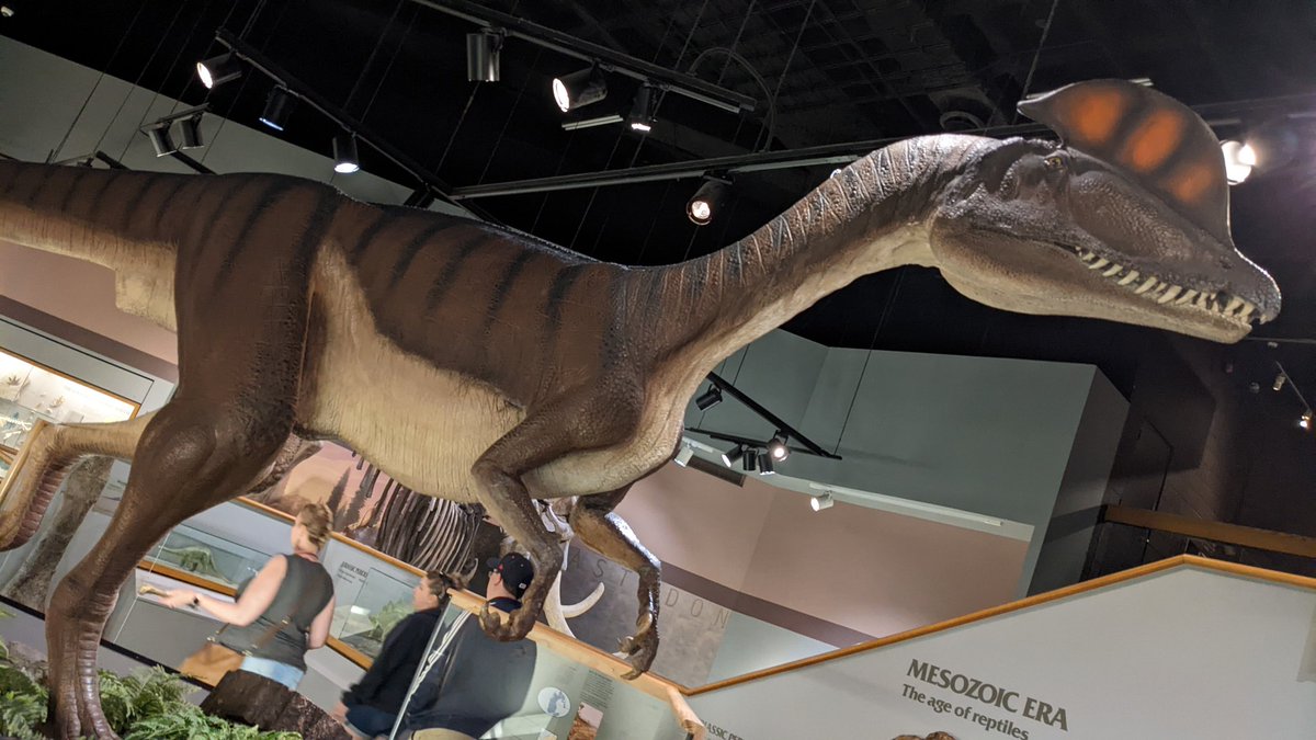 Up first today, the <a href="/NCRMuseum/">NatCivilRightsMuseum</a> and Museum of Science and History

#FCMemphis22