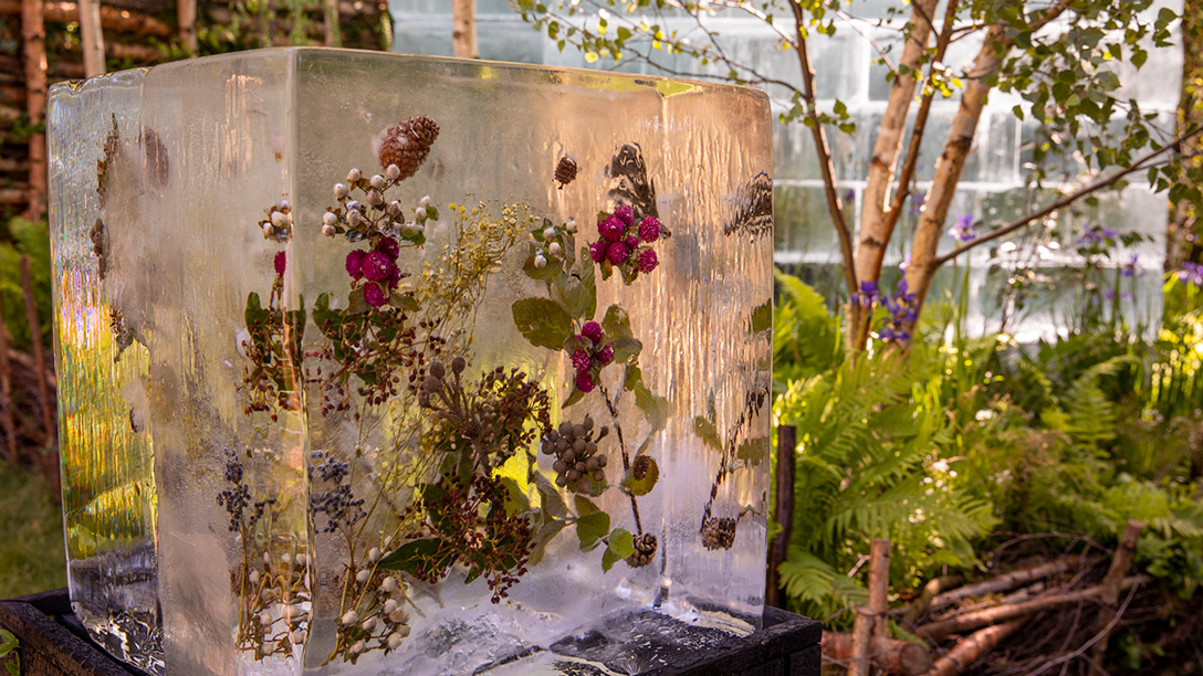 Another #garden that we loved seeing at <a href="/The_RHS/">The RHS</a> #chelseaflowershow2022 was The Plantman's Ice #Garden designed by John Warland. With its monolithic ice cube it reflects on the climate issues facing our planet. A very striking #gardendesign creation.
#inspiration #ClimateCrisis