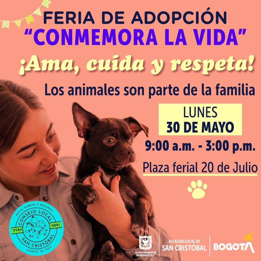 Alcaldía Local de San Cristóbal tweet media