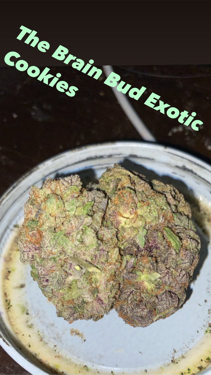 ManOC41420's tweet photo. #TheManOCshow #ManOfCannabis #DaDapprDabbr #Amerijuanacansz #Reefugeesz #LOUDRGANGANG #LgG #KCC https://t.co/spRqj401zX