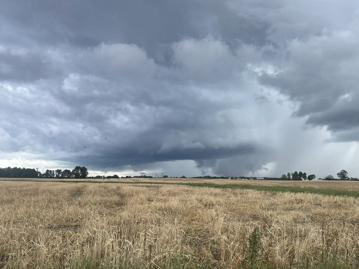 zmann3000's tweet photo. 4:21 PM CT. View looking southwest just west of Steam Corner, Indiana. #inwx https://t.co/u5C3zAOHDH