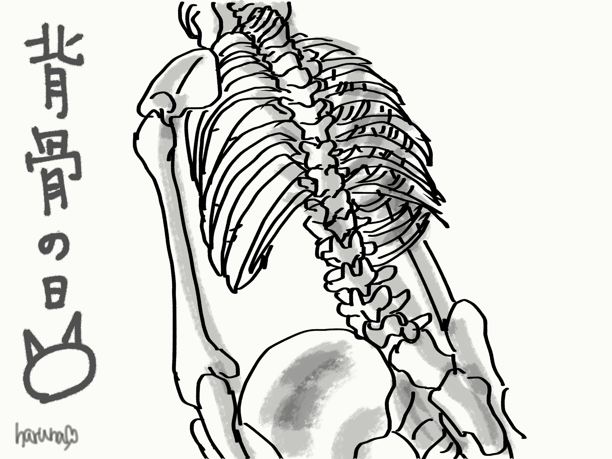 はる 昨日の骨https T Co 4tgyqmpm0n Twitter