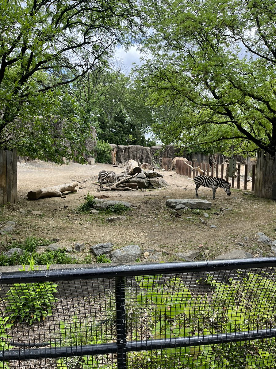 Michael Hunter tweet media