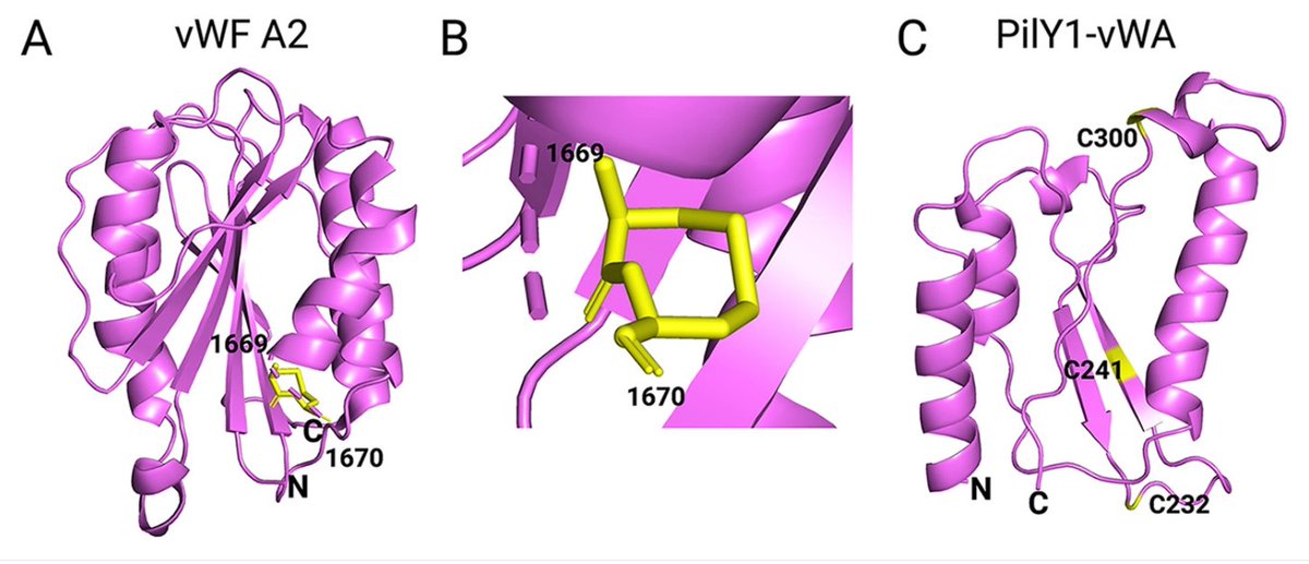George O'Toole (he/him/his) tweet media