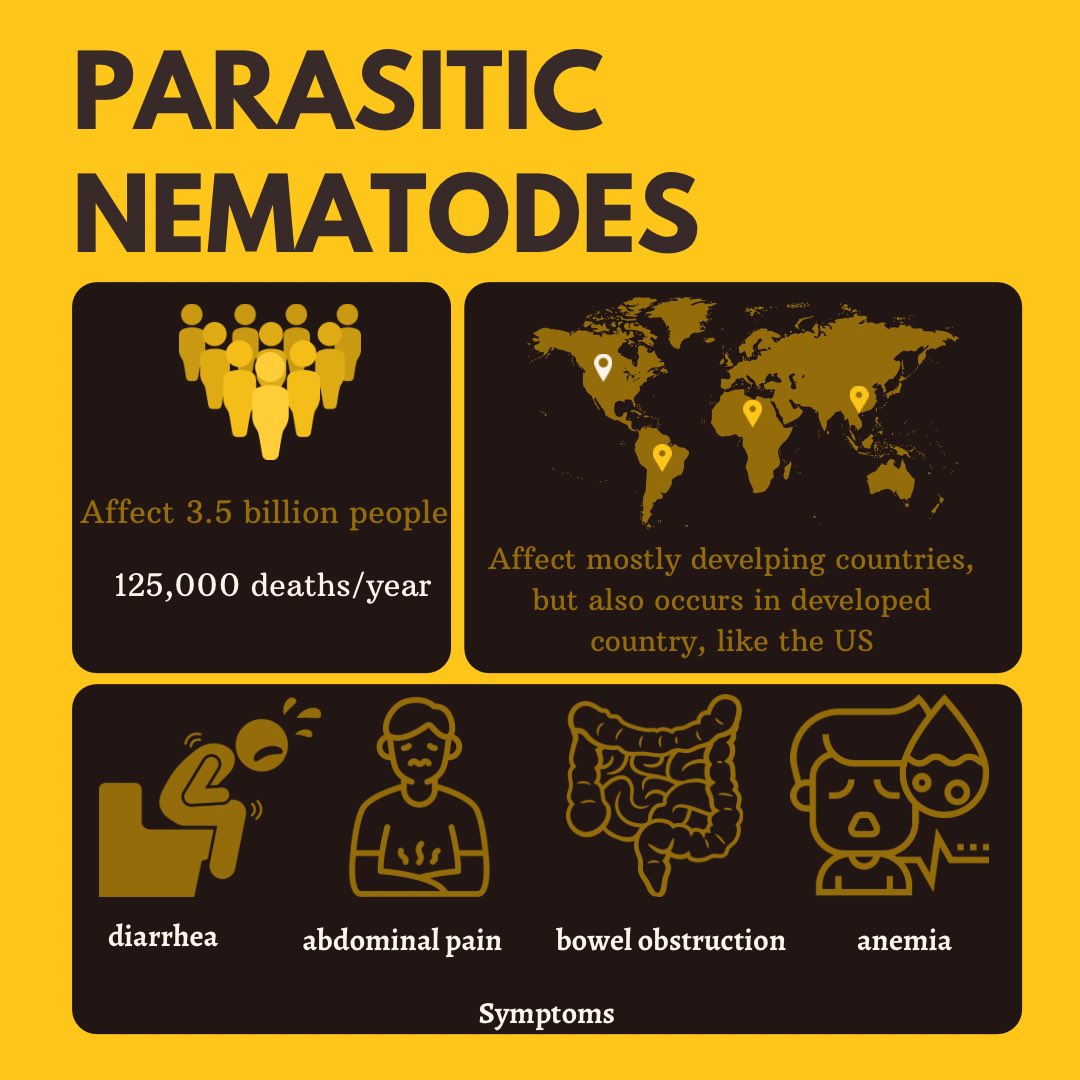 A talented student created nice infographics in my Nematology class.