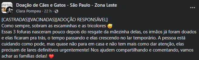 gitezoni's tweet photo. postando aqui pq são irmãzinhas e me lembraram mt a rinku e a koyo <3 

pra adoção responsável em SP. https://t.co/oIiloi36nE