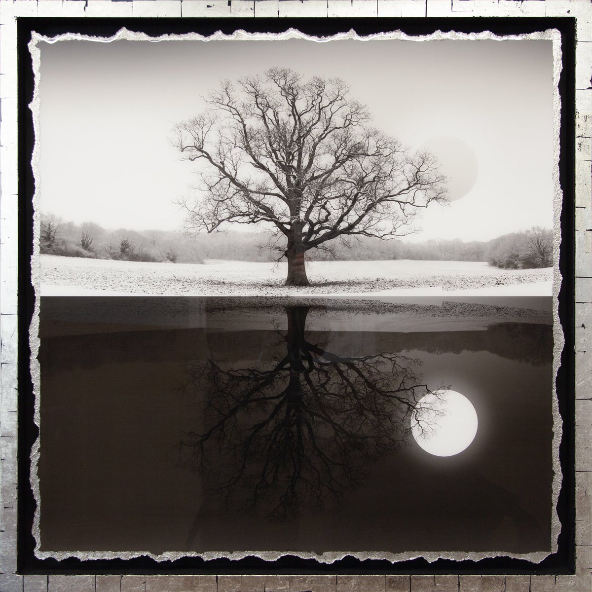 FINISHED in the nick of time and ready to deliver <a href="/FineArtClifton/">Clifton Fine Art</a> <a href="/GlasgowArtFair/">Glasgow Art Fair</a> for the weekend. DAY &amp; NIGHT 1 - 4. Each 96cm square with fab frames courtesy of <a href="/ShelleyRoseArt/">Shelley C Rose</a> .
 #oak #resin  #tree #climateresponse #artgallery #gallery #contemporaryart