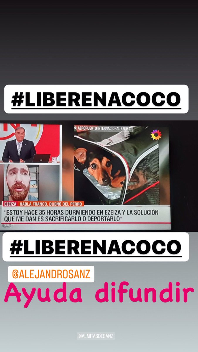 <a href="/alferdez/">Alberto Fernández</a> <a href="/AlejandroSanz/">Alejandro Sanz</a> <a href="/lopolito/">angel polo martinez</a> <a href="/telefe/">telefe</a> <a href="/tvpublica/">TV Pública</a> <a href="/sergiolapegue/">Sergio Lapegüe</a> <a href="/AlmitasDeSanz/">TUS ALMITAS TE AMAN</a> @noamaltratoanim <a href="/telefenoticias/">Telefe Noticias</a> <a href="/QuilmesNoticia1/">Quilmes Noticias</a> <a href="/24hrs_ARG/">24hs Radio/Noticias</a> <a href="/AmericaNoticias/">#AméricaNoticias - EdiciónCentral</a> <a href="/TMoticias/">TV.MOTICIAS</a> <a href="/Cris_noticias/">Cristina Perez</a>