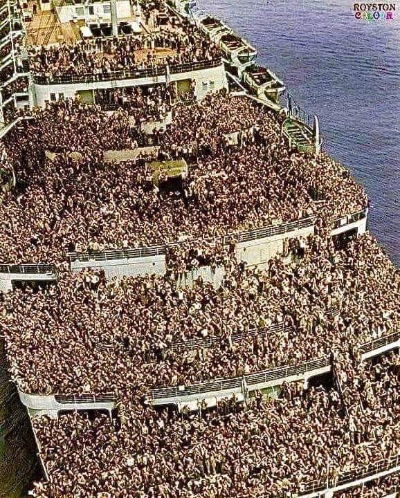 Ascending Penguin tweet media