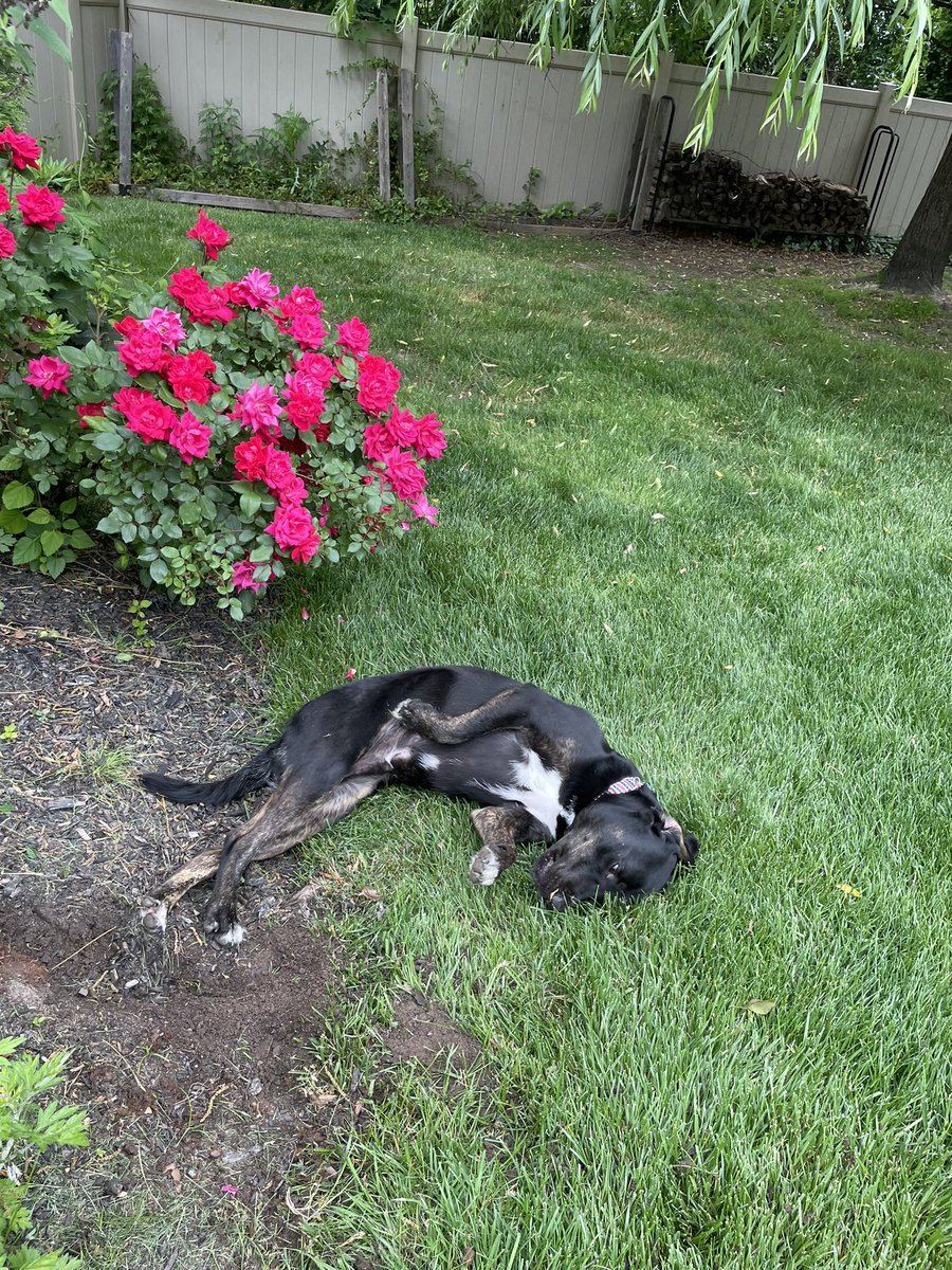 Spinked (@spinkedrbx) on Twitter photo 