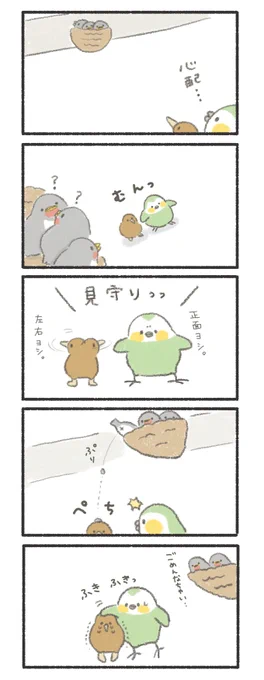 ツバメの巣を見守るカカポとキーウィ。 