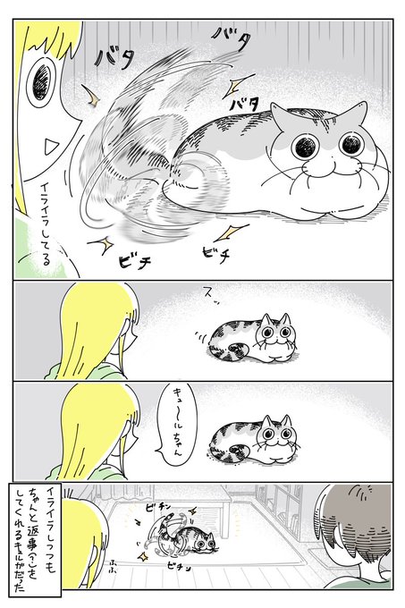 漫画 猫を呼んだら しっぽで返事 優しくファサッ Or バタバタビチビチ この差はなに 反応の違いに驚き まいどなニュース