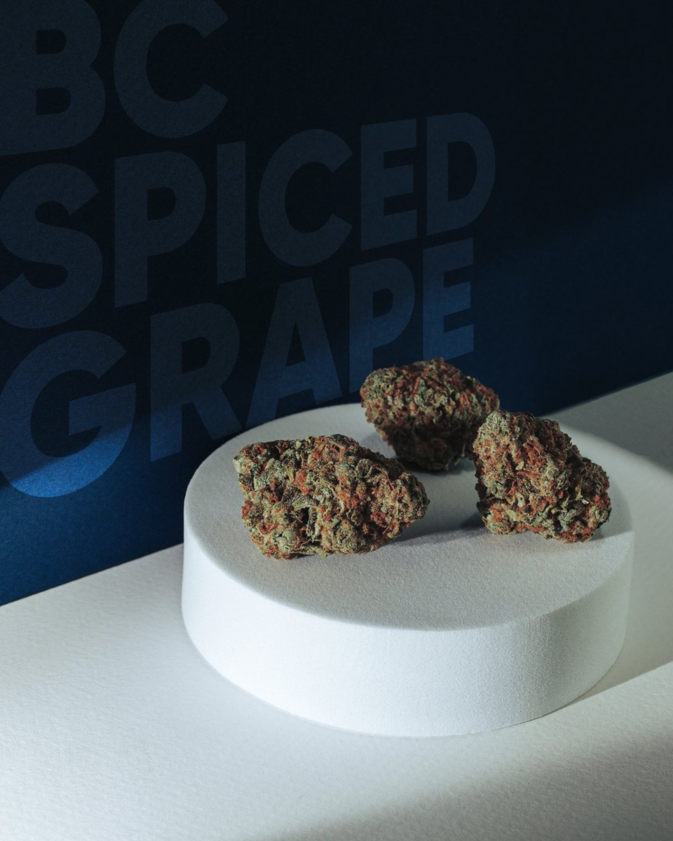 BC Spiced Grape is a high THC Indica-leaning hybrid that features a mix of fruity sweetness, a bit of spice and a touch of diesel.

More info below:

   👉 26% THC +/- 3%
   👉 3.5* G and 14* G
   👉 Ontario* and Alberta*

#GrownTrueInBC #Cannabis #CannabisCommunity
