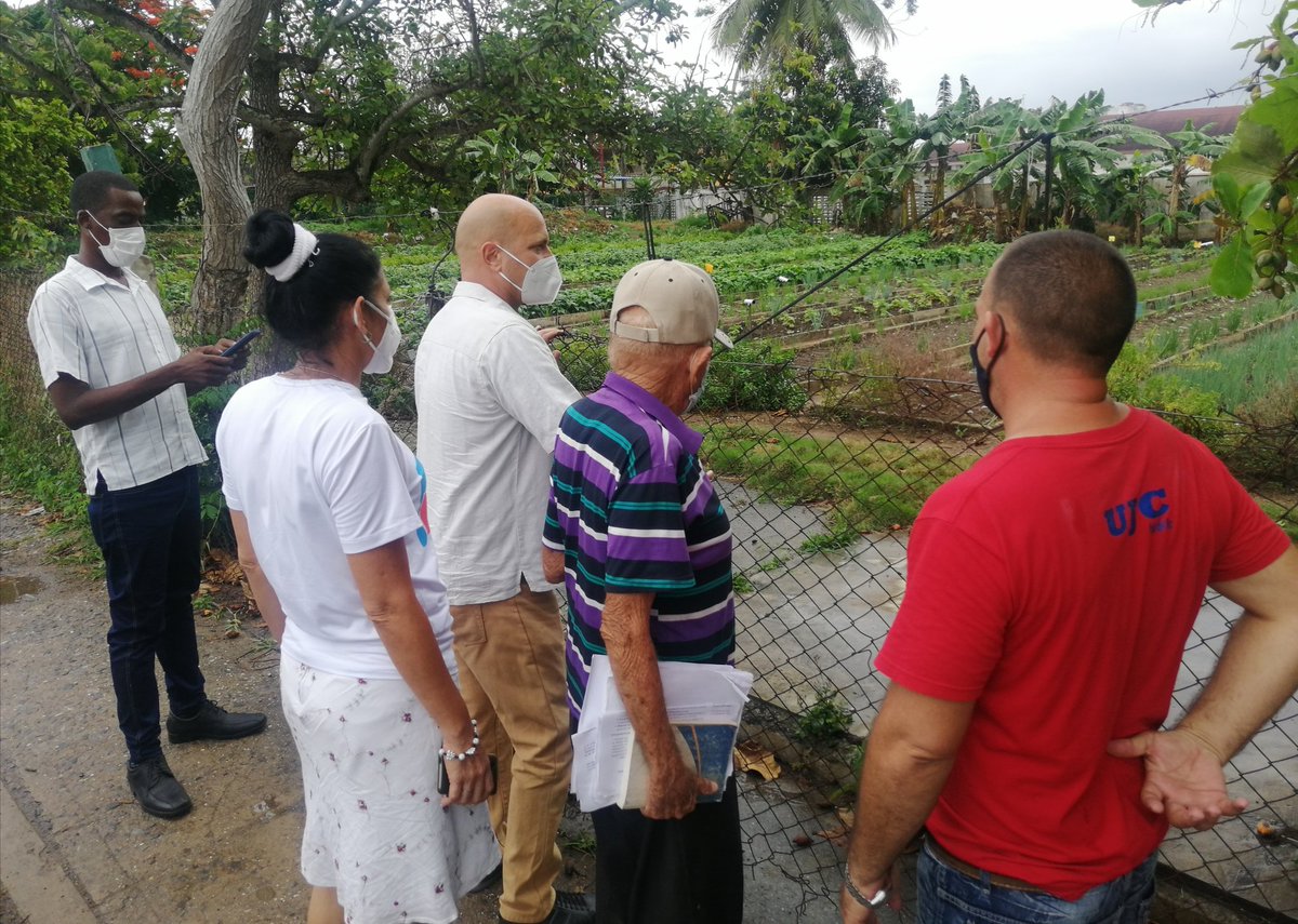 GHNordelo5's tweet photo. En la zona 34 de los #CDRCuba, en el reparto Ceferino Fernández, de Pinar del Río, cada vez se suman más vecinos al movimiento #CultivaTuPedacito #Cuba #SomosDelBarrio https://t.co/vWZSWFLOWt